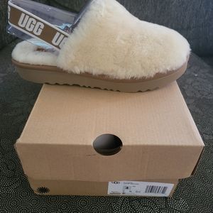 Uggs